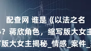 配查网 谁是《以法之名》翻案核心？蒋欣角色，缩写版大女主揭秘_情感_案件_理性