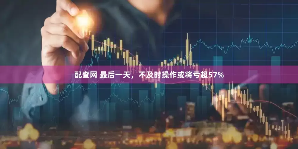 配查网 最后一天，不及时操作或将亏超57%