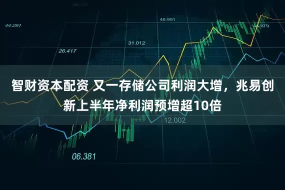 智财资本配资 又一存储公司利润大增，兆易创新上半年净利润预增超10倍